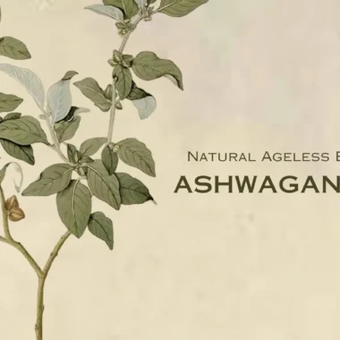 Ashwagandha, And The Science behind Ageing Gracefully!